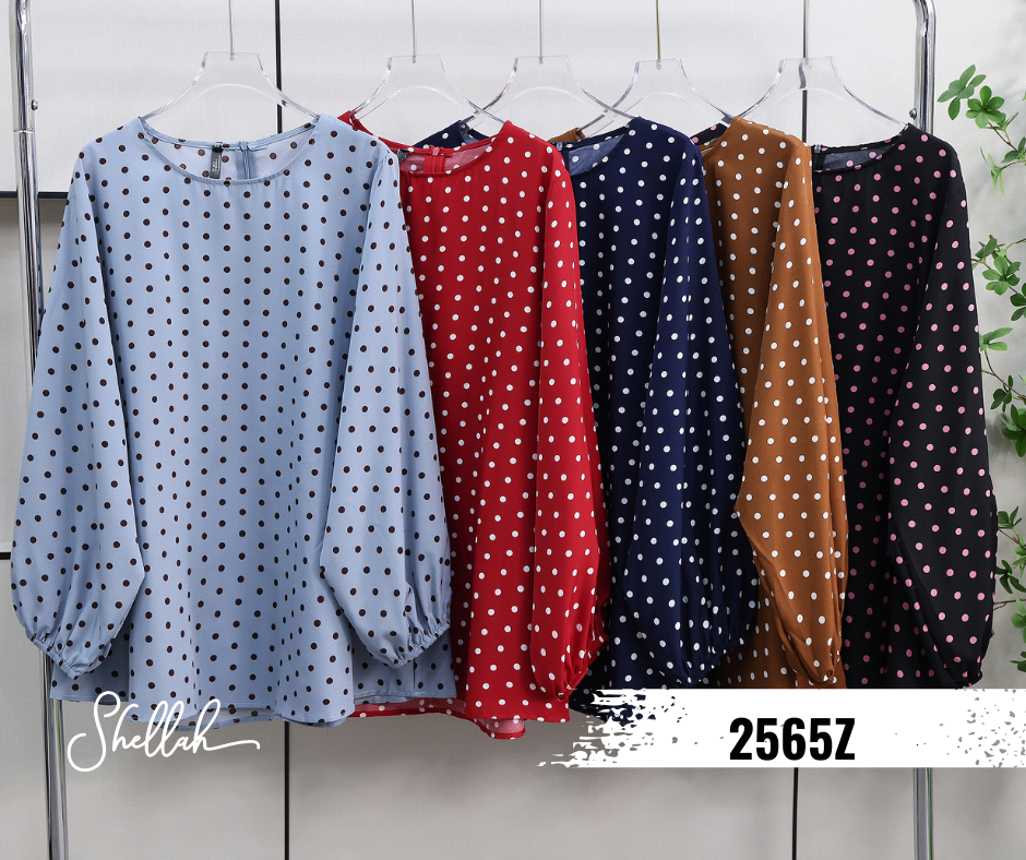 Polka Dots Sleeve Blouse - 2565Z